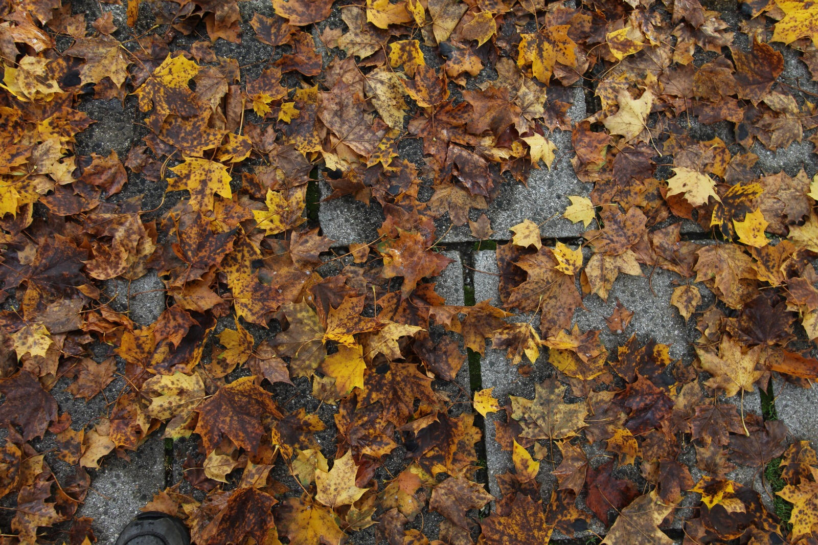 'Pattern III'